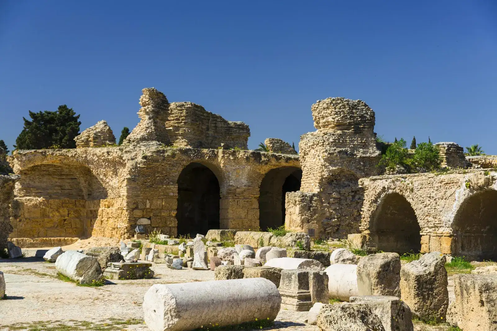 Patrimoine culturel et huile d'olive primée : circuit de 8 jours — Tunis & Carthage (1)