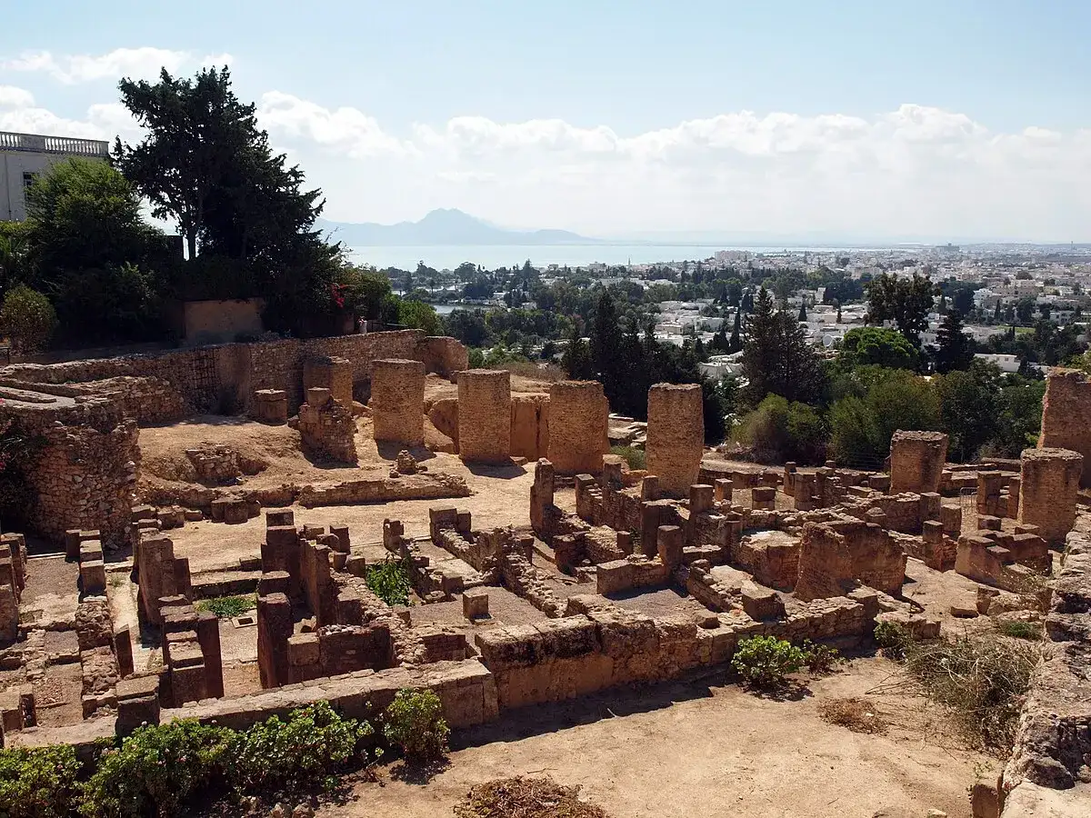 Patrimoine culturel et huile d'olive primée : circuit de 8 jours — Tunis & Carthage (2)