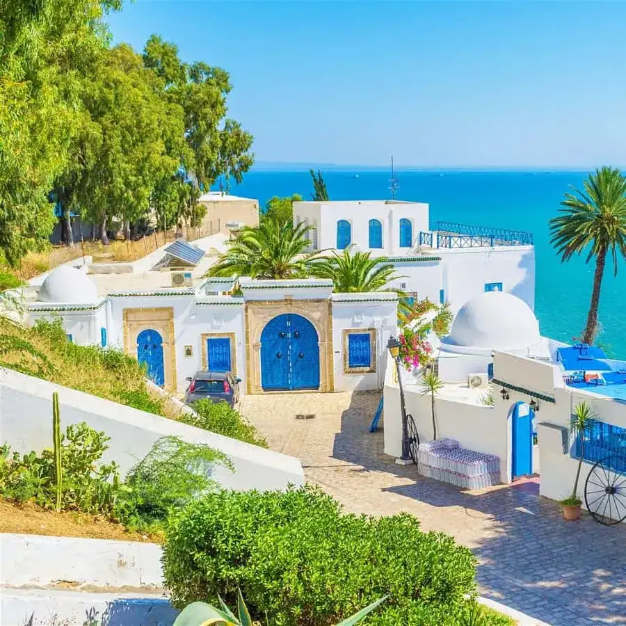 De la Médina de Tunis aux charmeurs de Sidi Bou Saïd